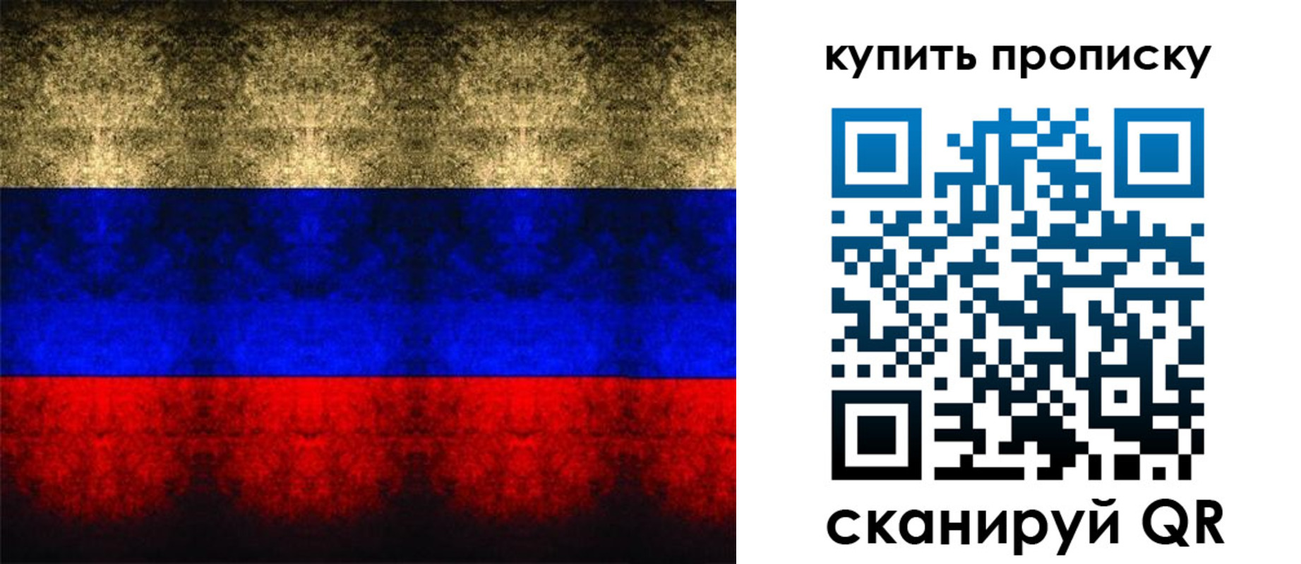 прописка в Знаменске